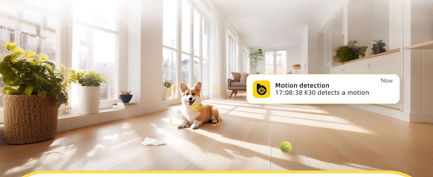 Video surveillance de maison pour chat