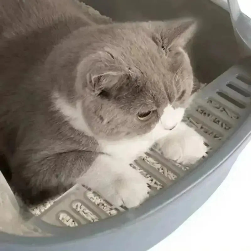 Litière pour chat hygiénique