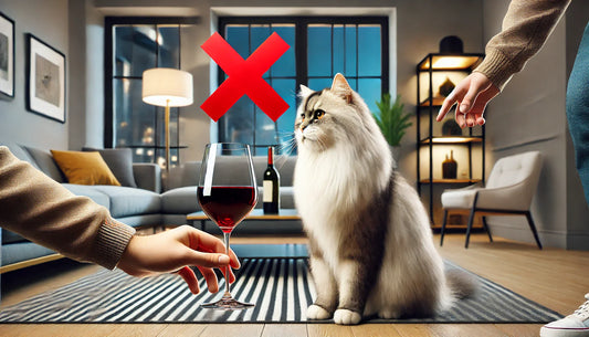 Les-erreurs-à-éviter-avec-un-chat-en-appartement Felin'Up