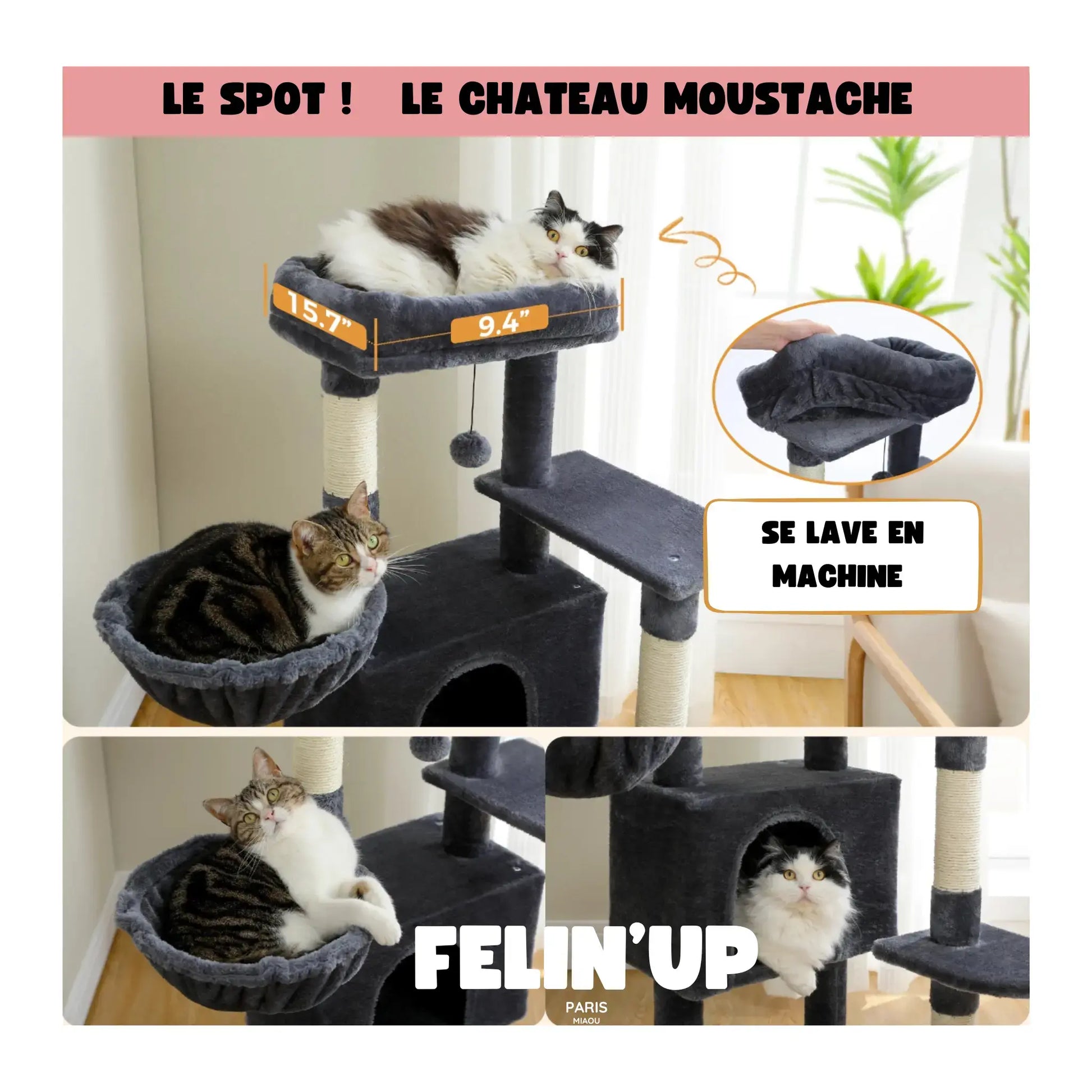 Arbre à chat pour plusieurs