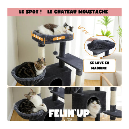 Arbre à chat pour plusieurs