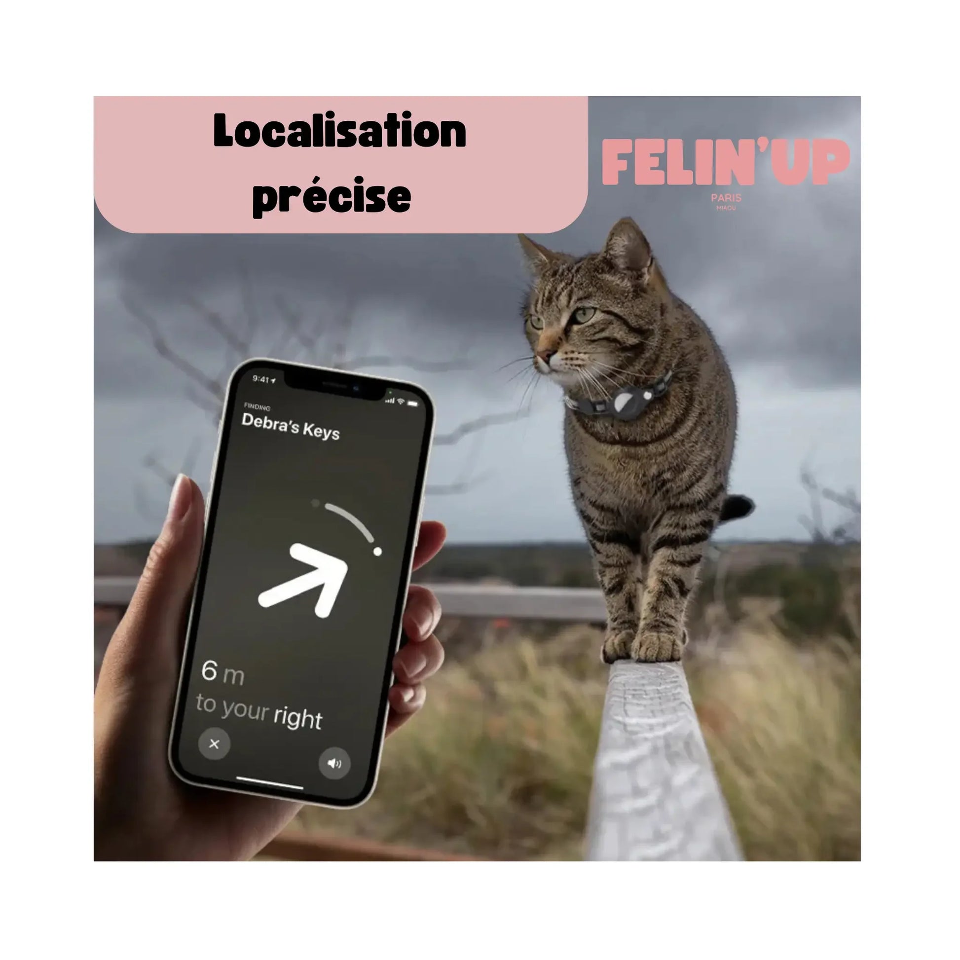 Collier pour tracker chat