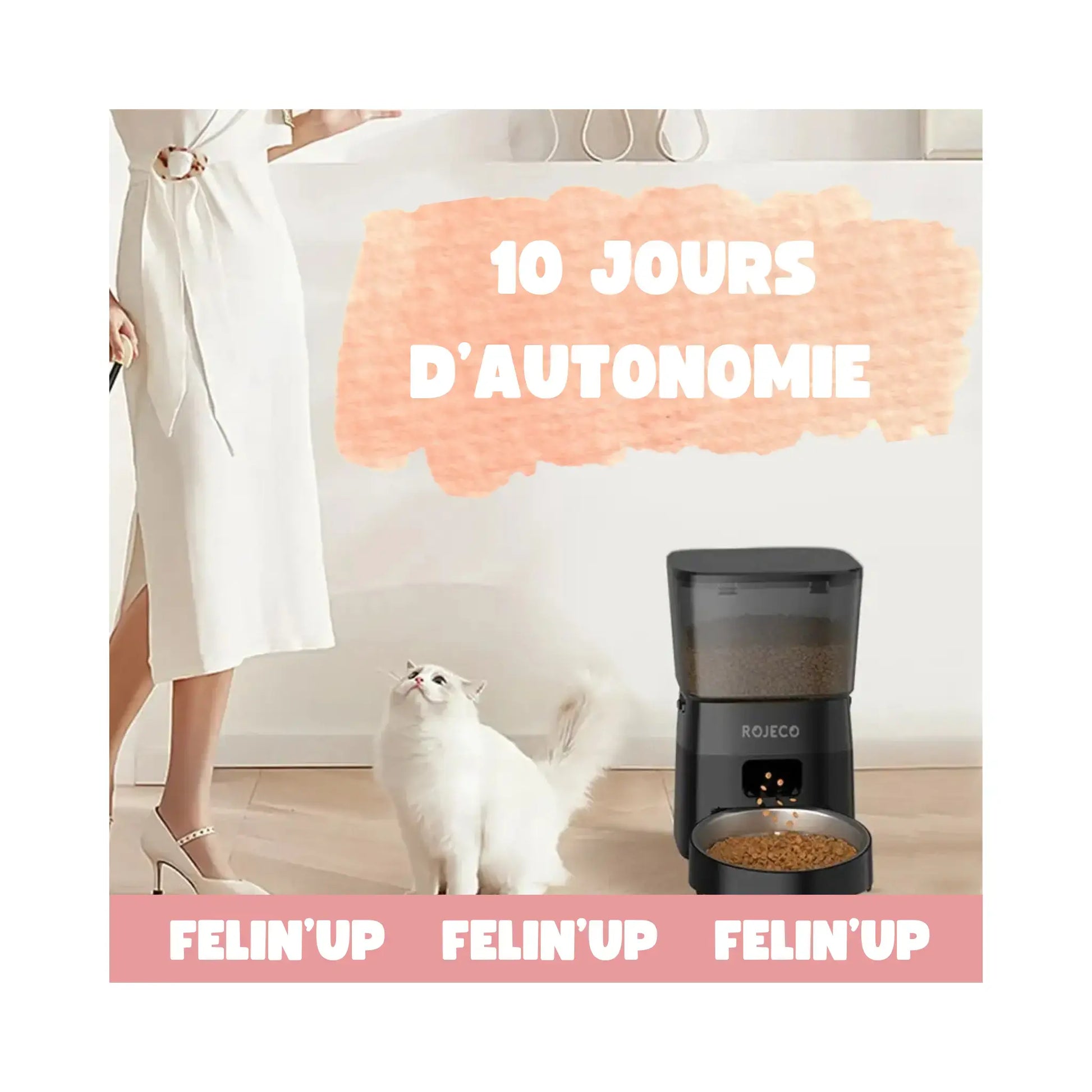 Mangeoire automatique chat