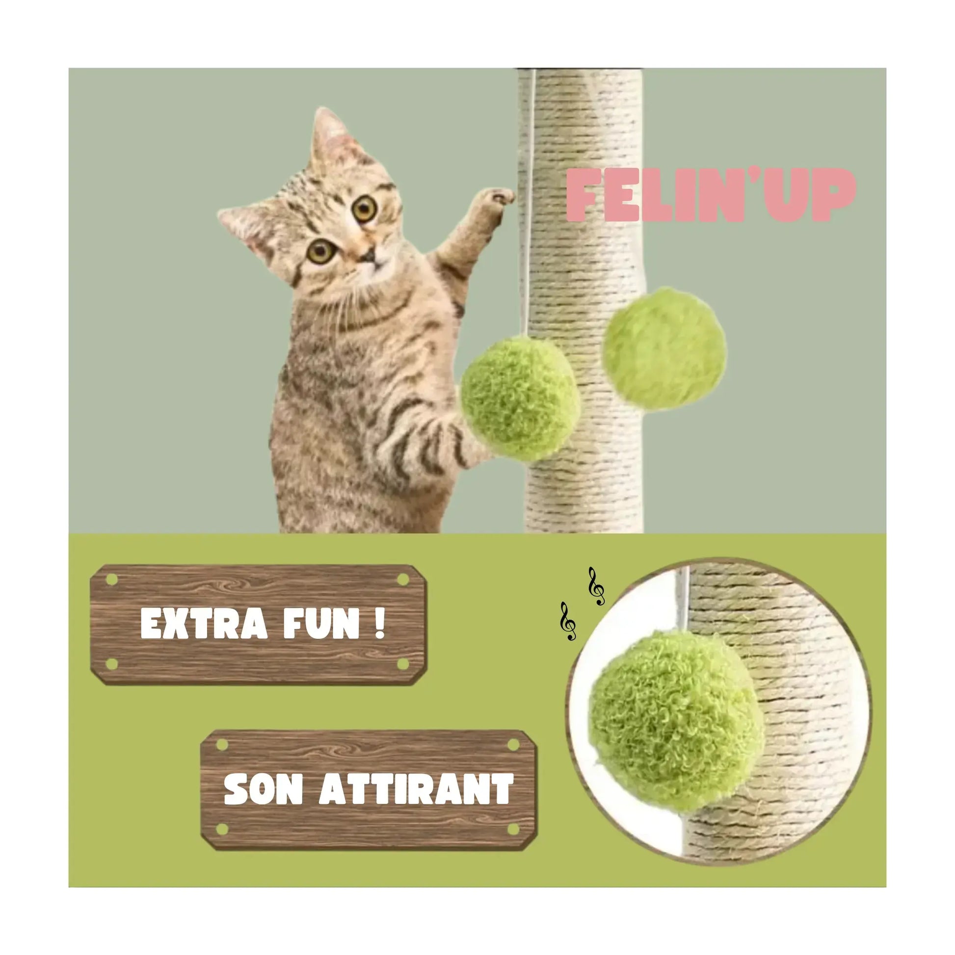 Grattoir original pour chat