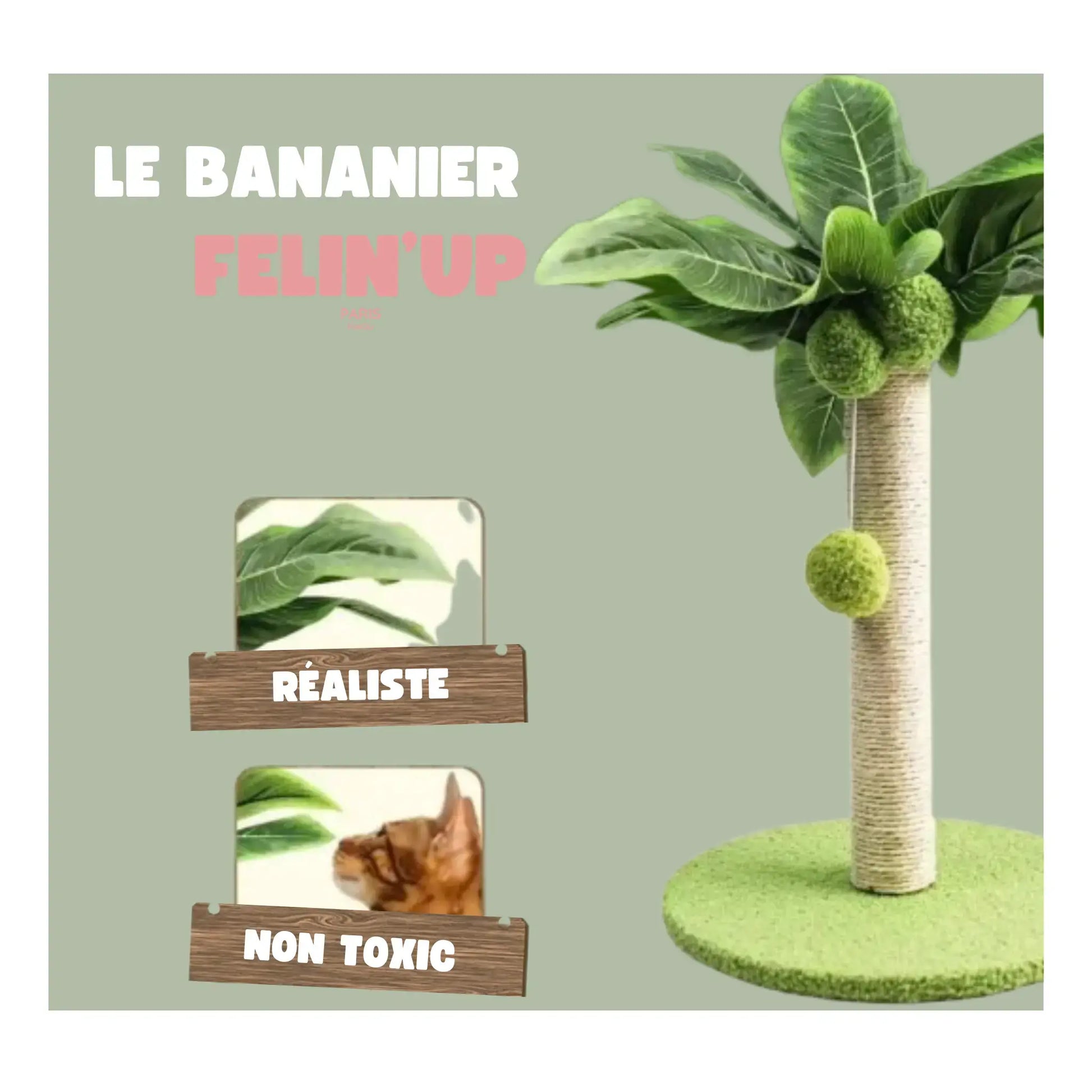 Griffoir design pour chat