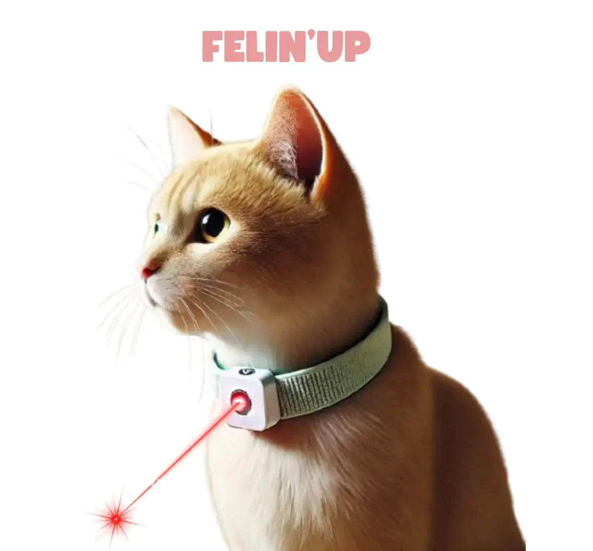 Collier laser pour chat