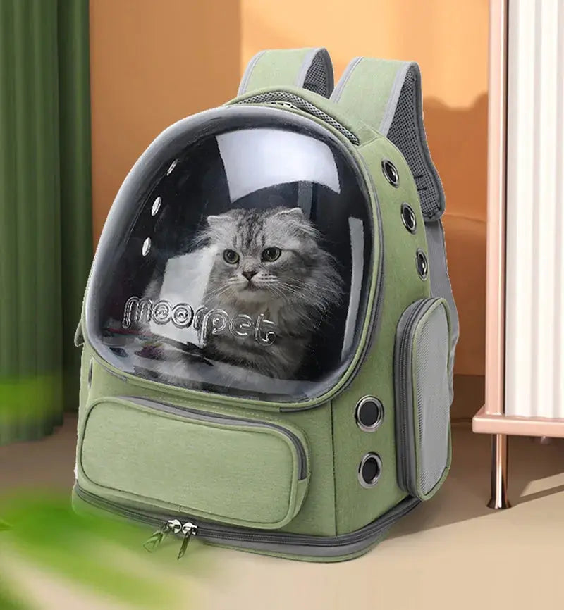 Sac à dos transparent pour chat