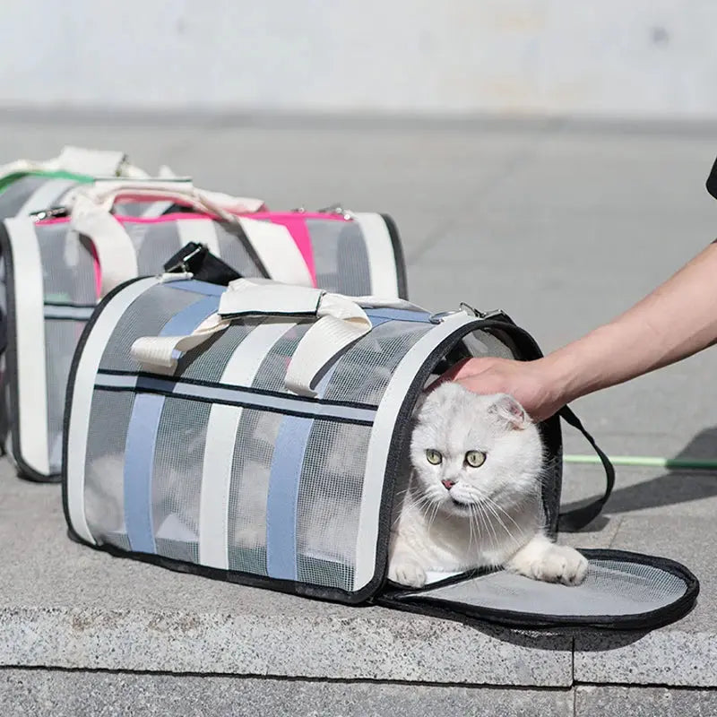 Sac de transport pour chat stressé