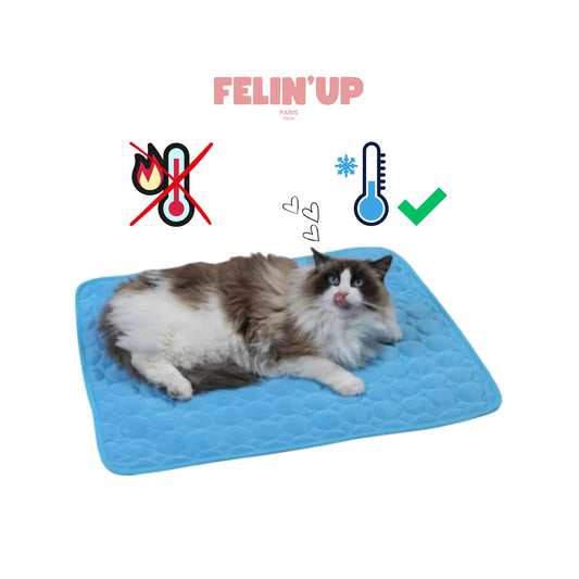 Tapis rafraîchissant pour chat