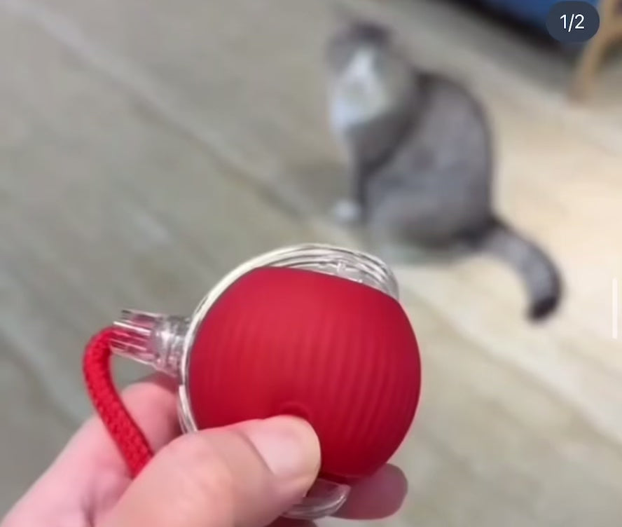 Jouet pour chat seul